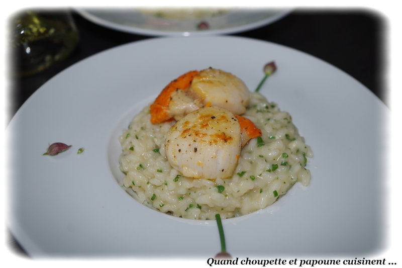 risotto aux herbes et saint jacques poêlées-0084