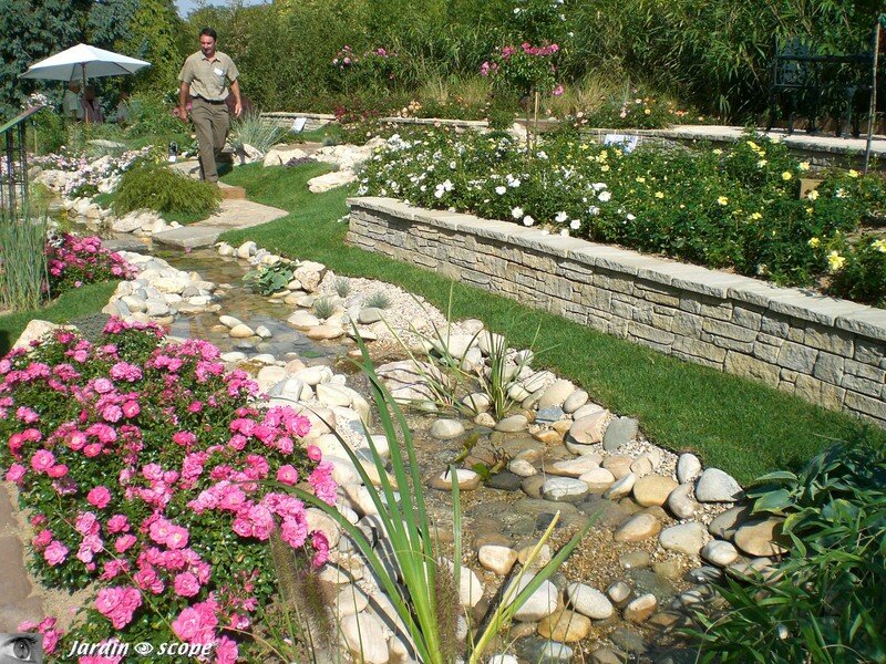 Jardin éphémère en terrasse