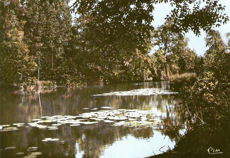Le loir