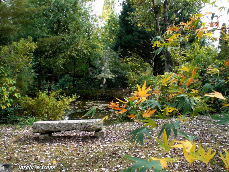Pièce d'eau en sous bois