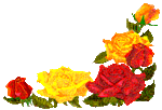 roses061