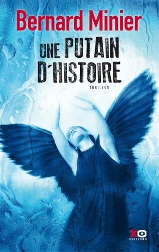 une-putain-d-histoire-bernard-minier_5305116-M