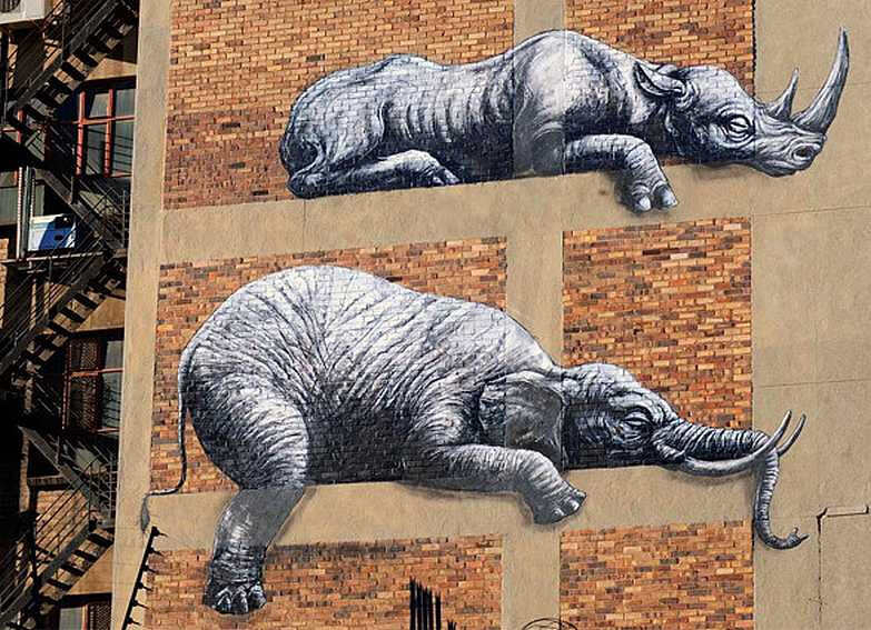 roa15