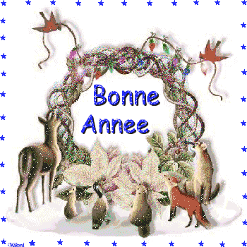 BONNE ANNEE4