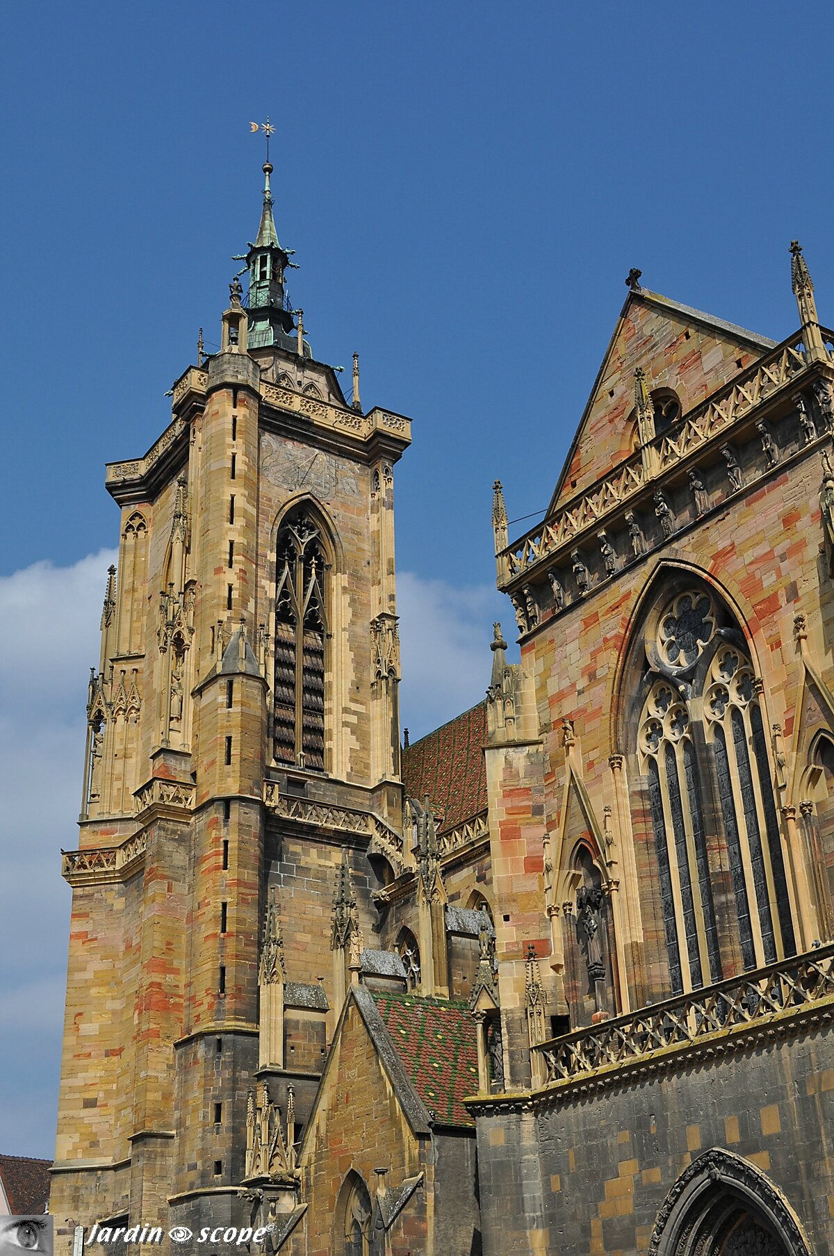 La collégiale Saint-Martin - Colmar