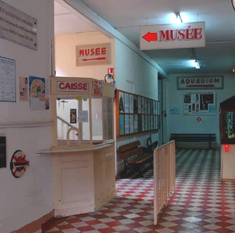 musee-entree