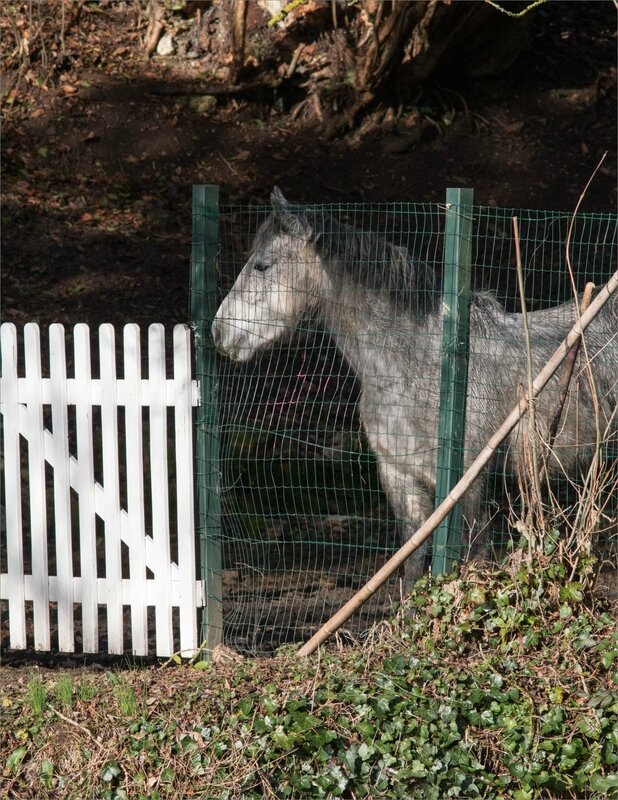 ville cheval barrière 040217