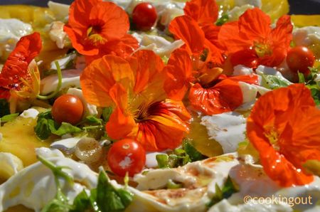 Salade aux capucines pour commencer octobre orange chez Cookingout recettes Salade aux capucines pour commencer octobre orange chez Cookingout