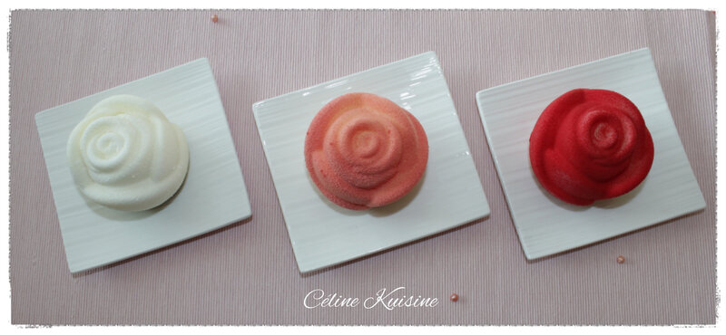 roseindividuelle2
