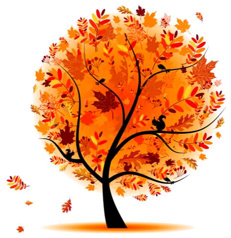 autumn-tree-rh