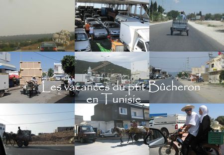 Tunisie_2009bu