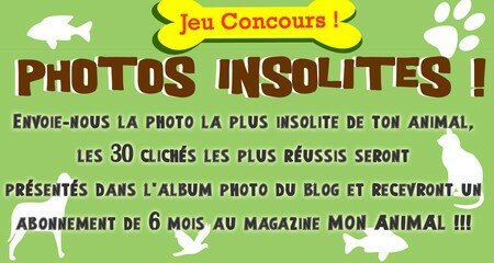 concours_MPA2