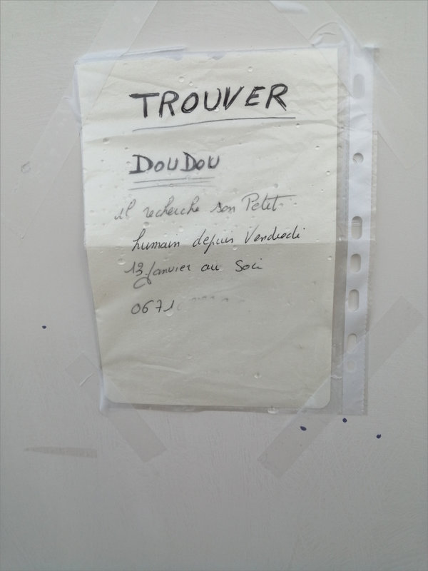 Annonce doudou Petit humain 210123