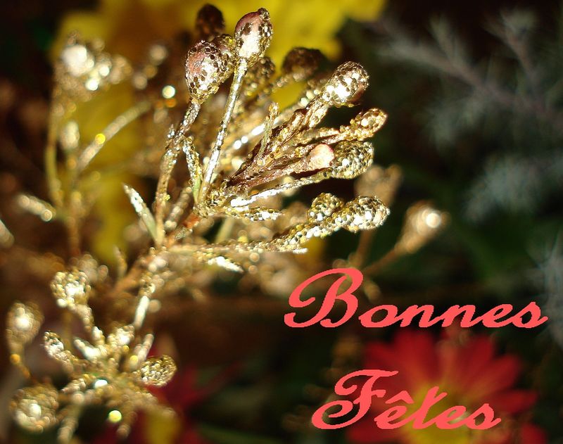 BONNES_FETES_08