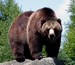 ours