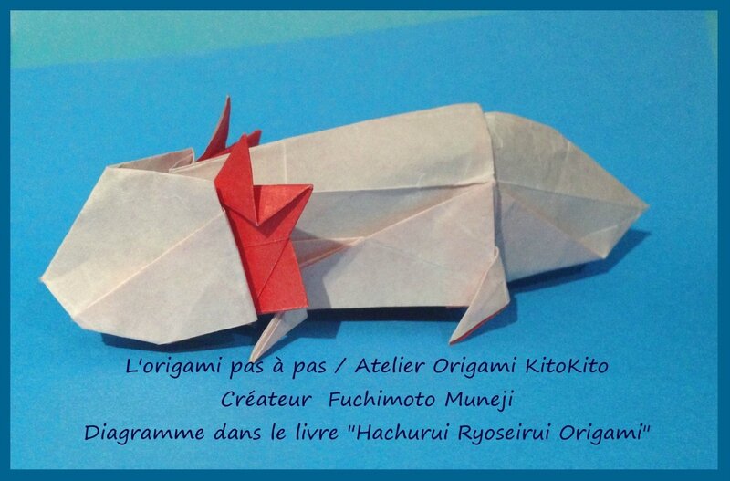 Atelier Origami KitoKito_Axolotl 1