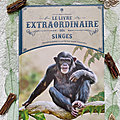 Le <b>livre</b> extraordinaire des singes