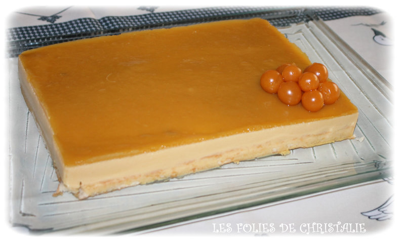 Bavarois passion mangue 8