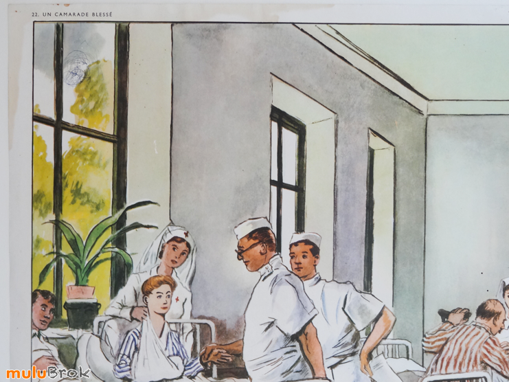 Affiche-CAMARADE-BLESSE-Champignons-2-muluBrok