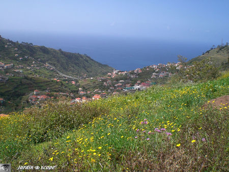 9025_Baie_Camara_de_Lobos