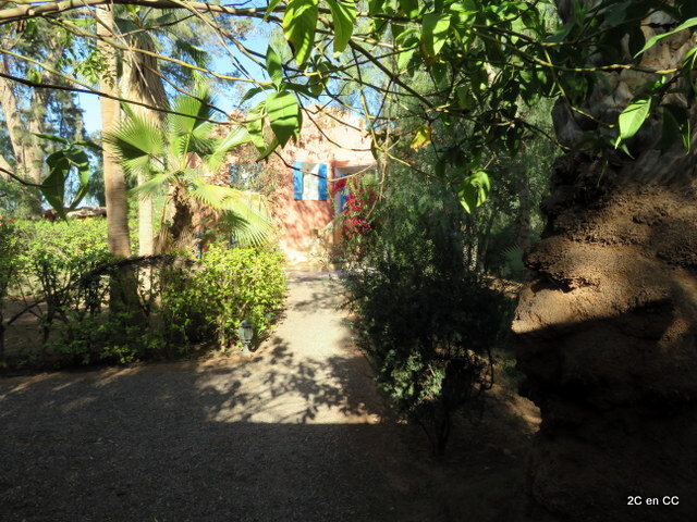 Lakhnafif - le jardin de la Koudya