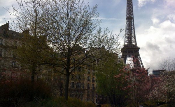 Paris en fleurs