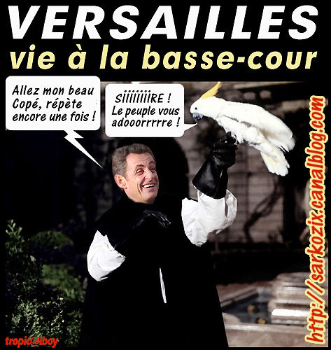 sire___Versailles