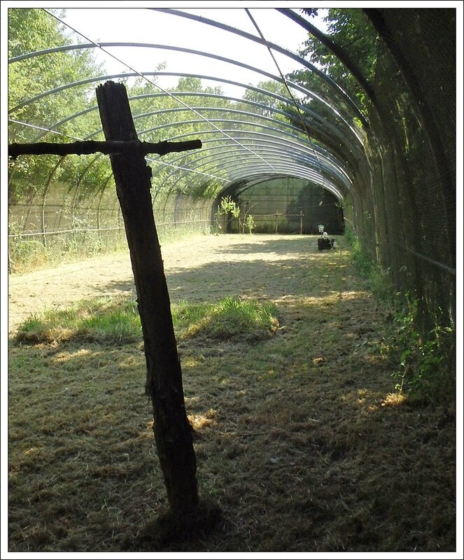 Centre sauvegarde voliere 150614