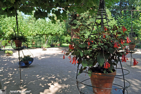 Place_aux_fuchsias