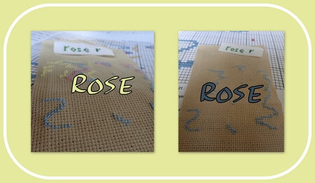 rose_salavr21_col1