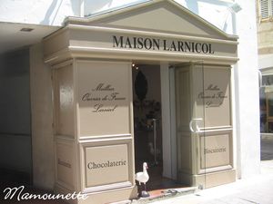 Ile_de_R__jeudi_11_juin_2009_003