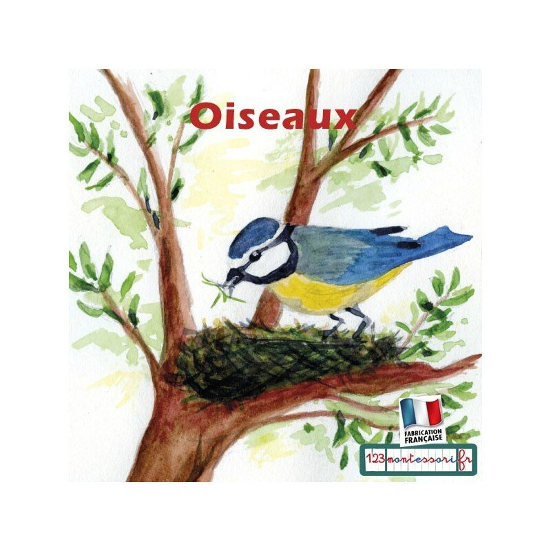 images-sequentielles-recits-montessori-l-oiseau