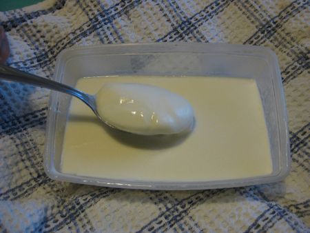 yaourt9
