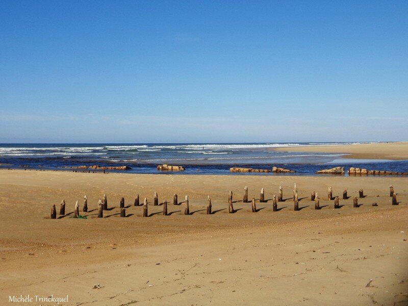 Plage Courant d'Huchet 141116