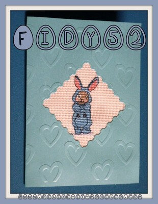 30 fidy52 BE_petit bunny