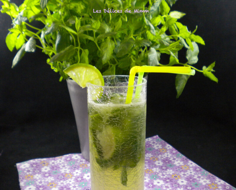 Virgin mojito à consommer sans modération 5