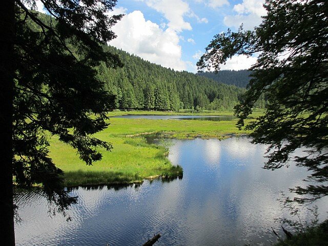 blog ger16