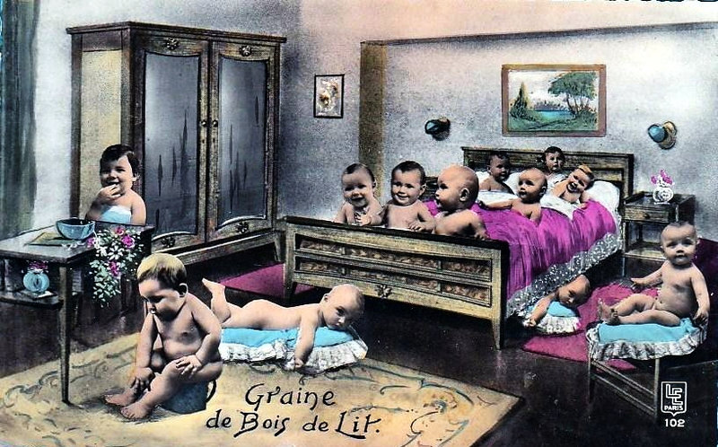 Graines de Poilus Lit1
