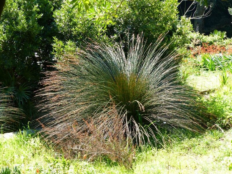 P1200021