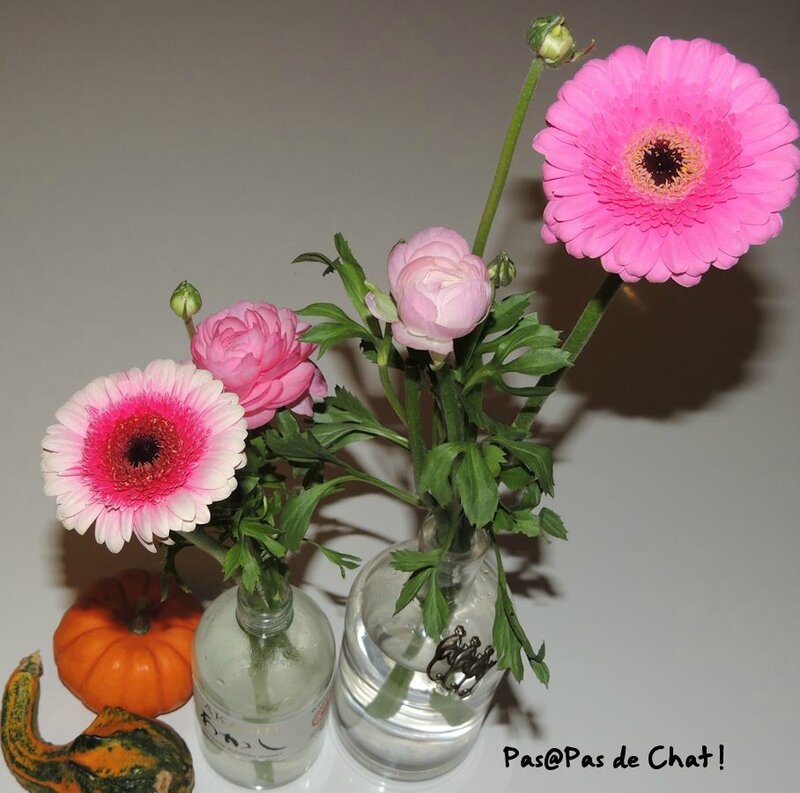fleur1-pasapasdechat