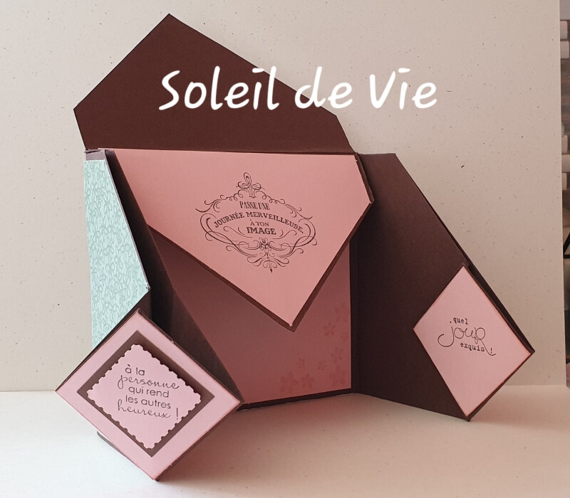 201906-SoleildeVie-DéfiQSMSdejuin-2