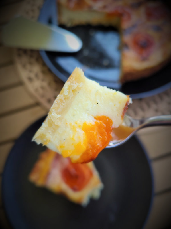 cathytutu flan patissier059 (2)