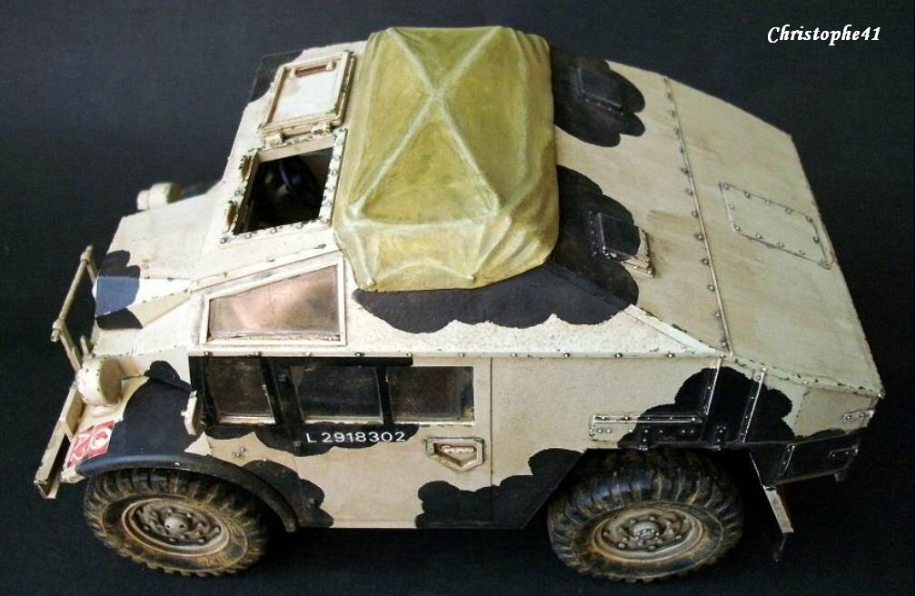 Quad Gun Ford FGT PICT1499
