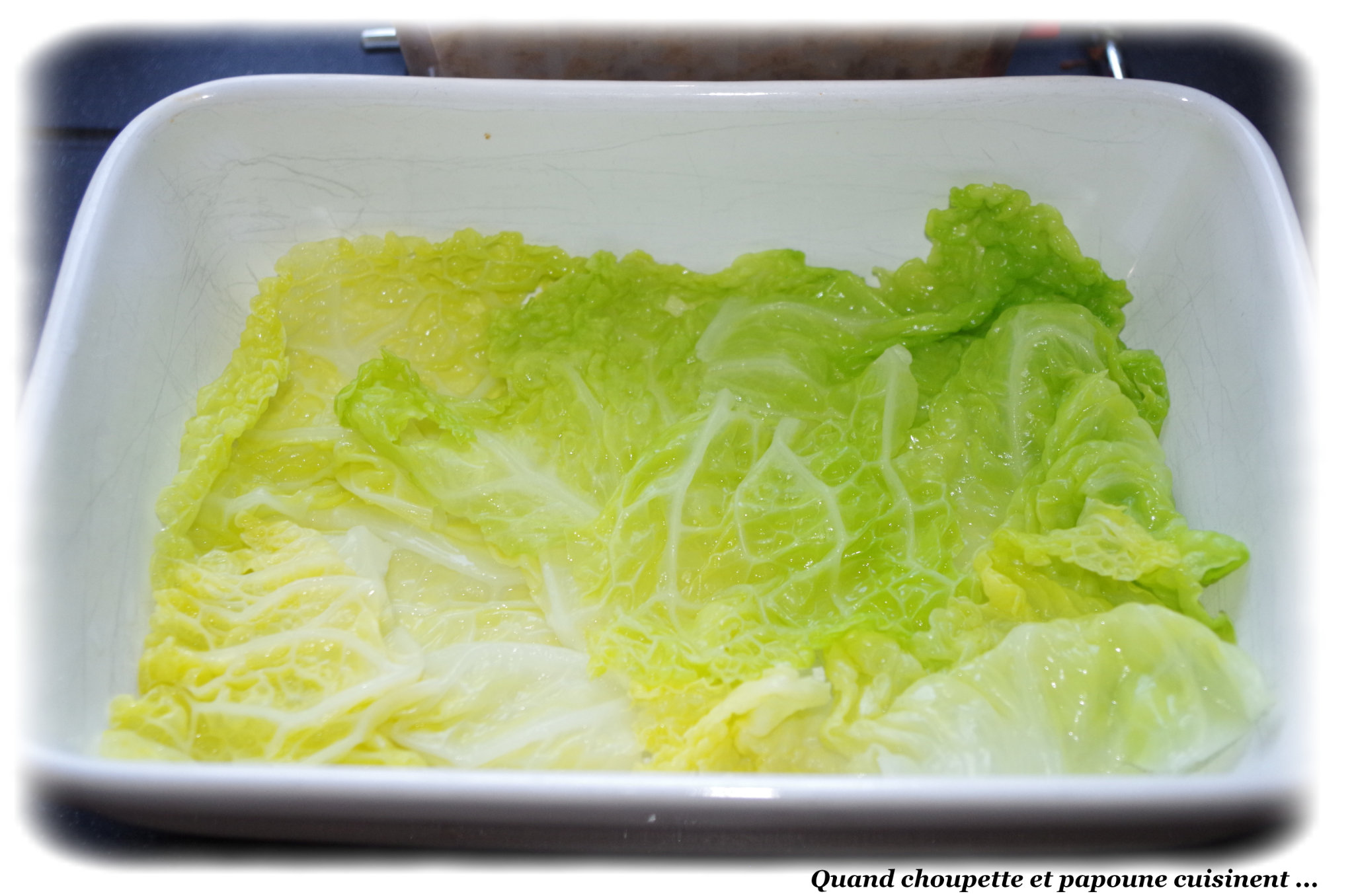 GRATIN DE CHOU VERT ET VIANDE HACHEE Quand Choupette et Papoune cuisinent GRATIN DE CHOU VERT ET VIANDE HACHEE Quand Choupette et Papoune cuisinent
