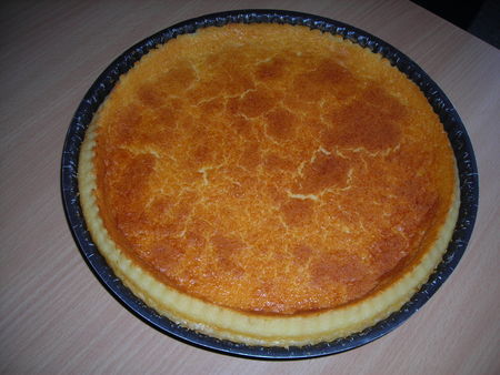 flan__1_