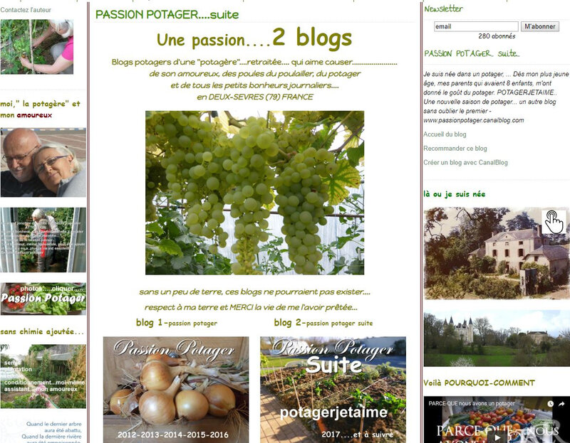 blog passion potager suite