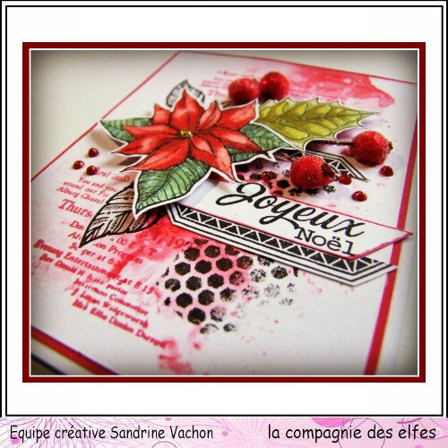 carte poinsettia JOYEUX NOEL dt LCDE (3)