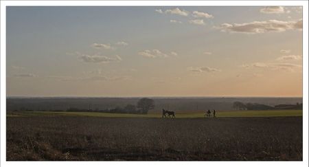 paysage plaine ane personnages soir 190212