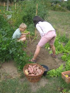 potager_011