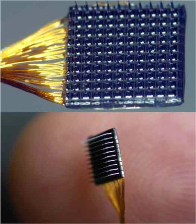 BrainGateArray